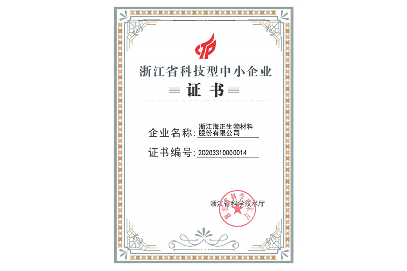 Zhejiang Science and Technology Small and Medium Enterprise Certificate